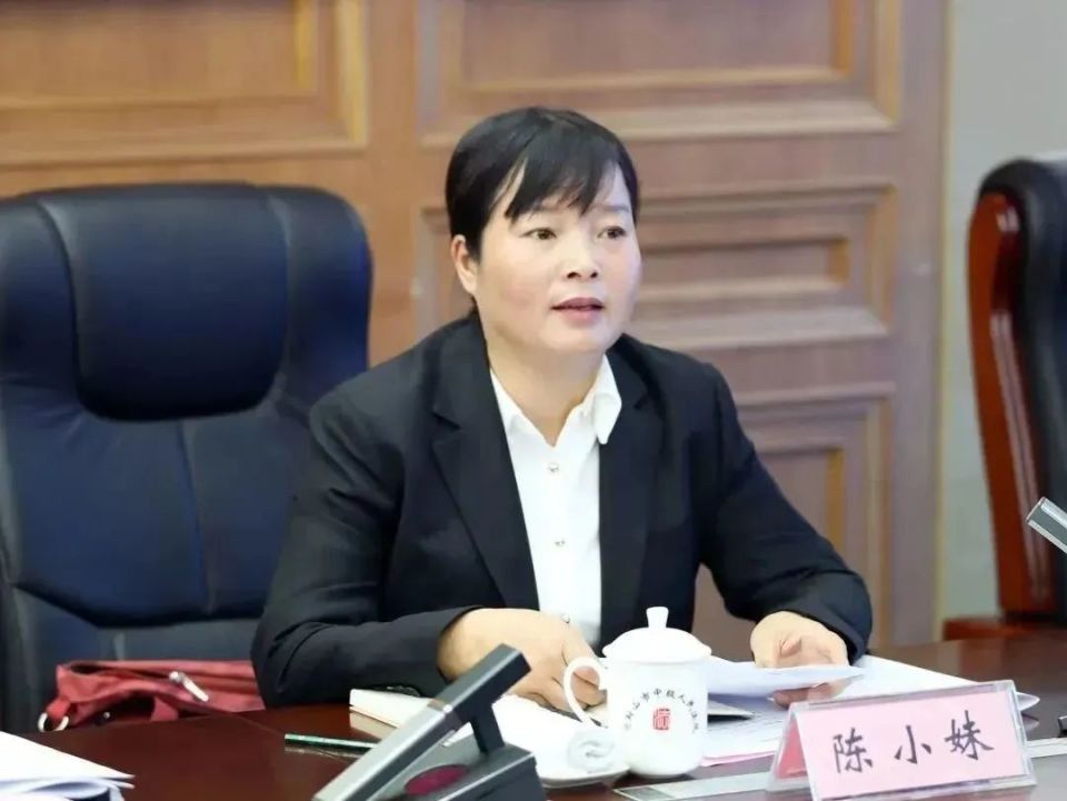 全国人大代表袁方,陈小妹,吕卉,吴梅芳,赵皖平,结合履职和调研情况,对