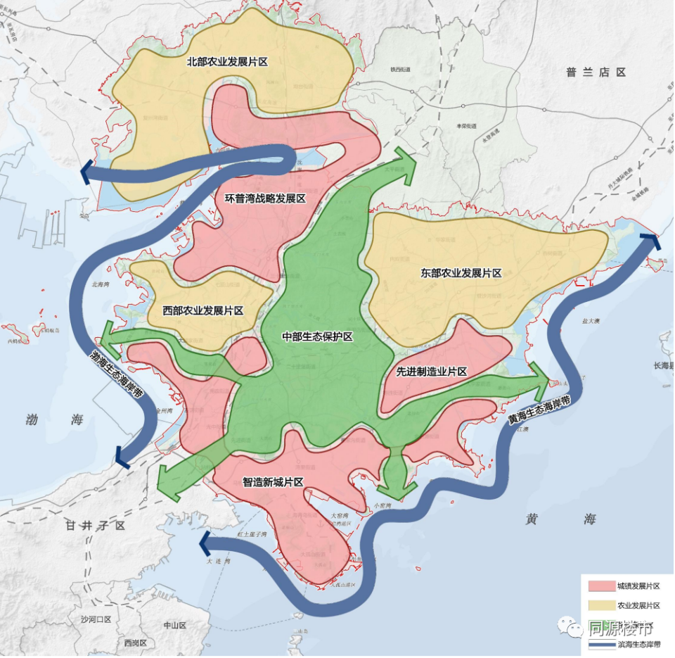 金普新区未来规划图片