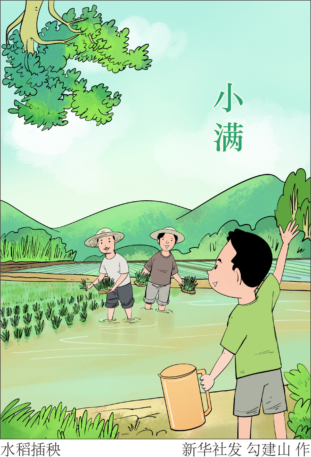 二十四节气·小满|水稻插秧