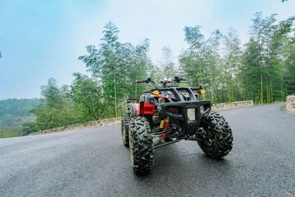 民宿周边有大片青葱的茶树,置身于茶园中,满山绿意映入眼帘,茶香扑鼻