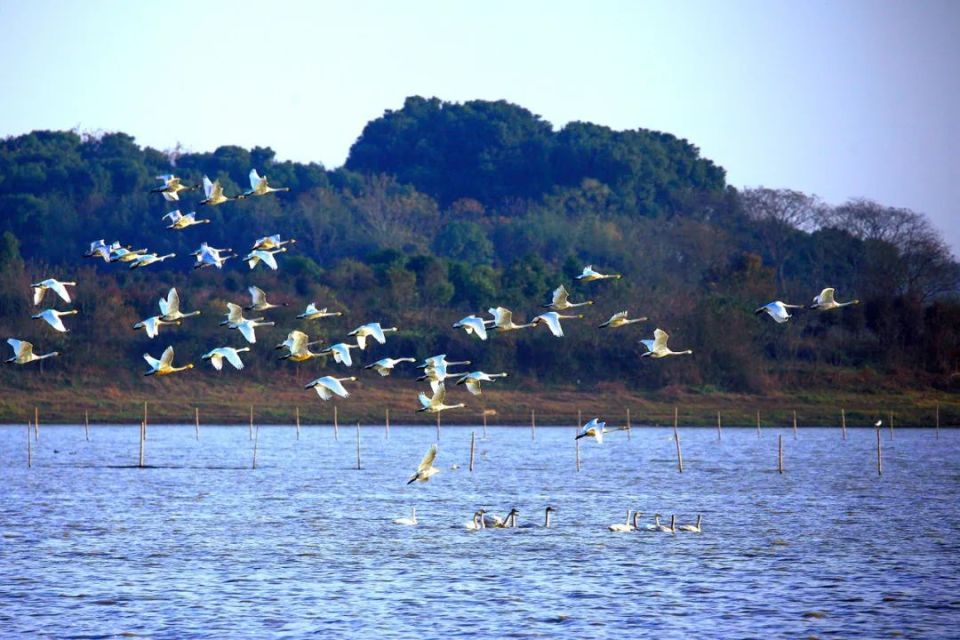 盘点庐江必去的十大景区!