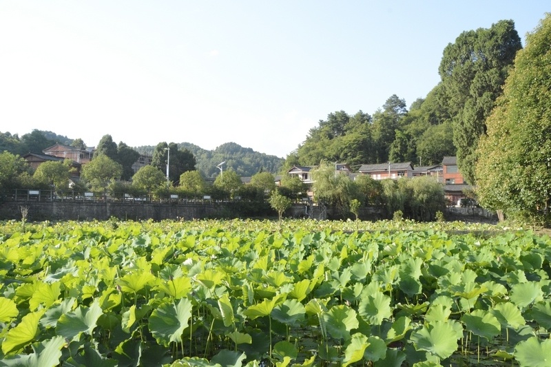 开阳:灵秀山水展新颜 和美乡村入画来_腾讯新闻