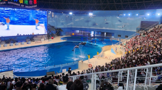 凭今年中高考证件或录取通知书可享泉城欧乐堡海洋极地世界门票限时