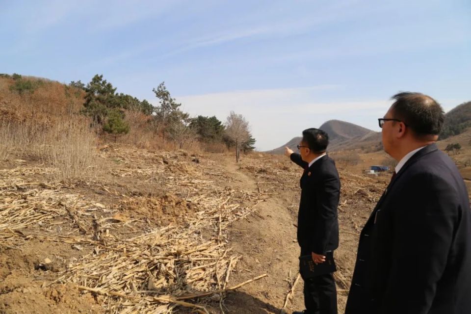 积极将受损林地栽种树木进行恢复,并且其认罪认罚,灯塔市人民检