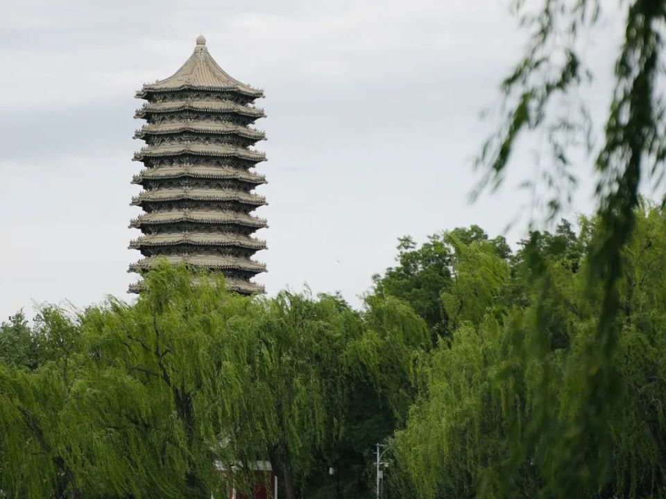 在讲解员的带领下,全体学员走进百年名校,采撷校园风光,沉醉于未名湖