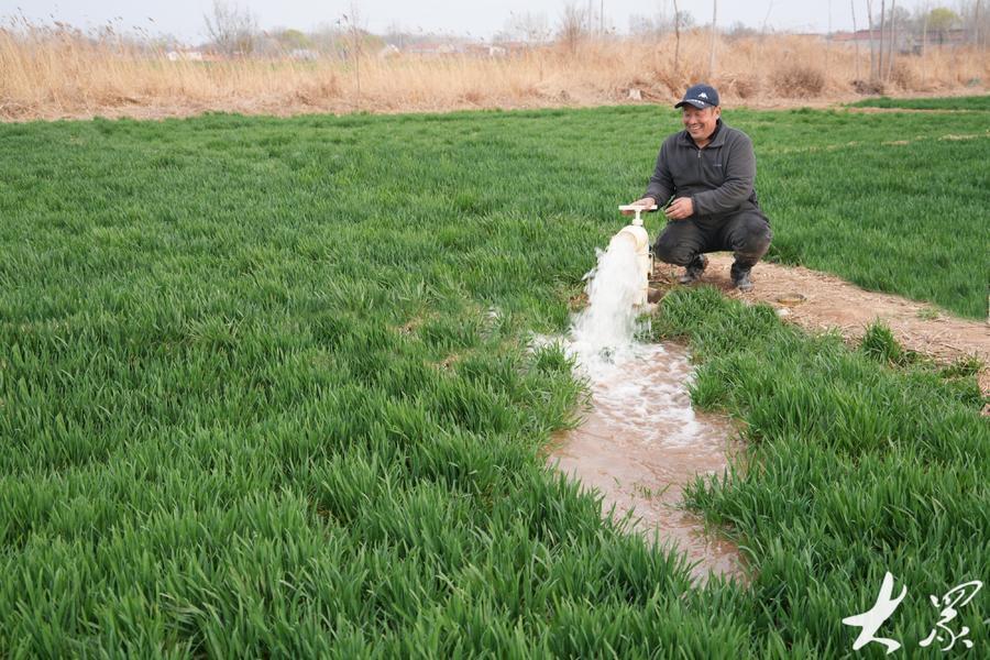 在乐陵市郭家街道高标准农田地头,农民使用泵站管道节水灌溉设备浇水