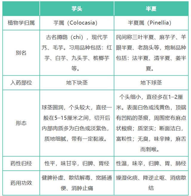 芋头软糯健脾，半夏麻舌化痰！这对“同门兄弟”你分得清吗？_腾讯新闻