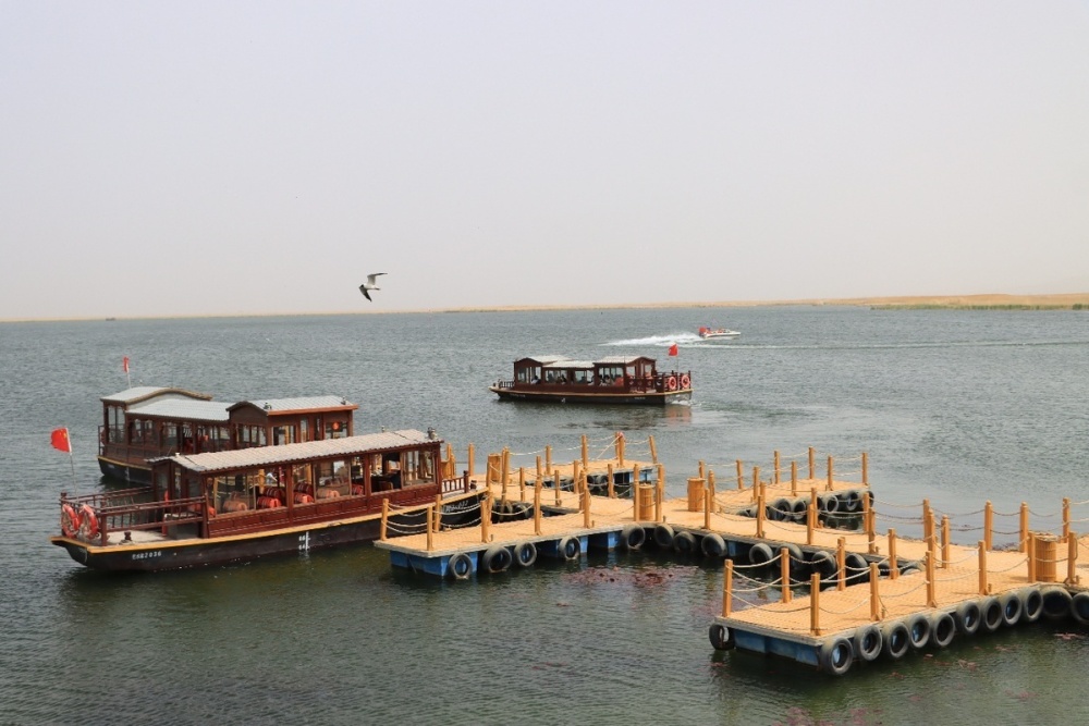 湖春似画图莲动下渔舟博湖县莲海世界景区开园