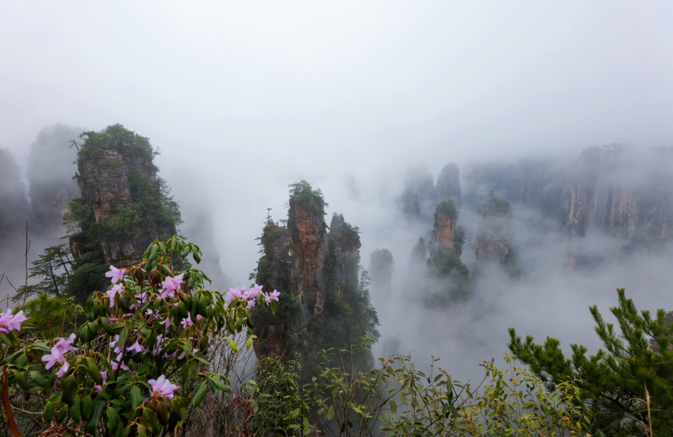 天子山云海图片