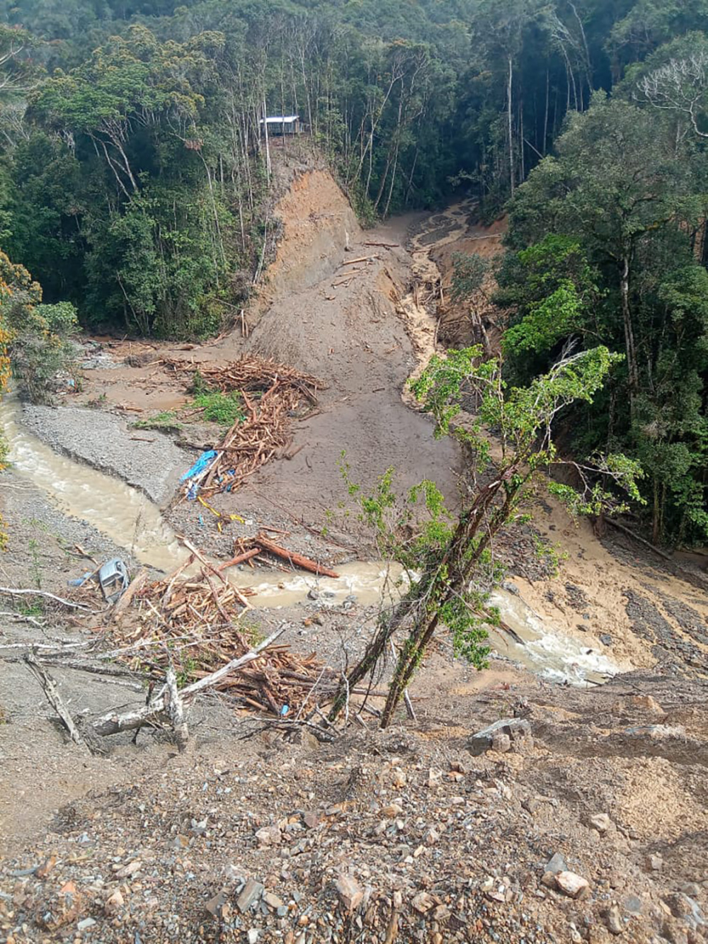 印尼西巴布亚省洪水和山体滑坡已致6人死亡