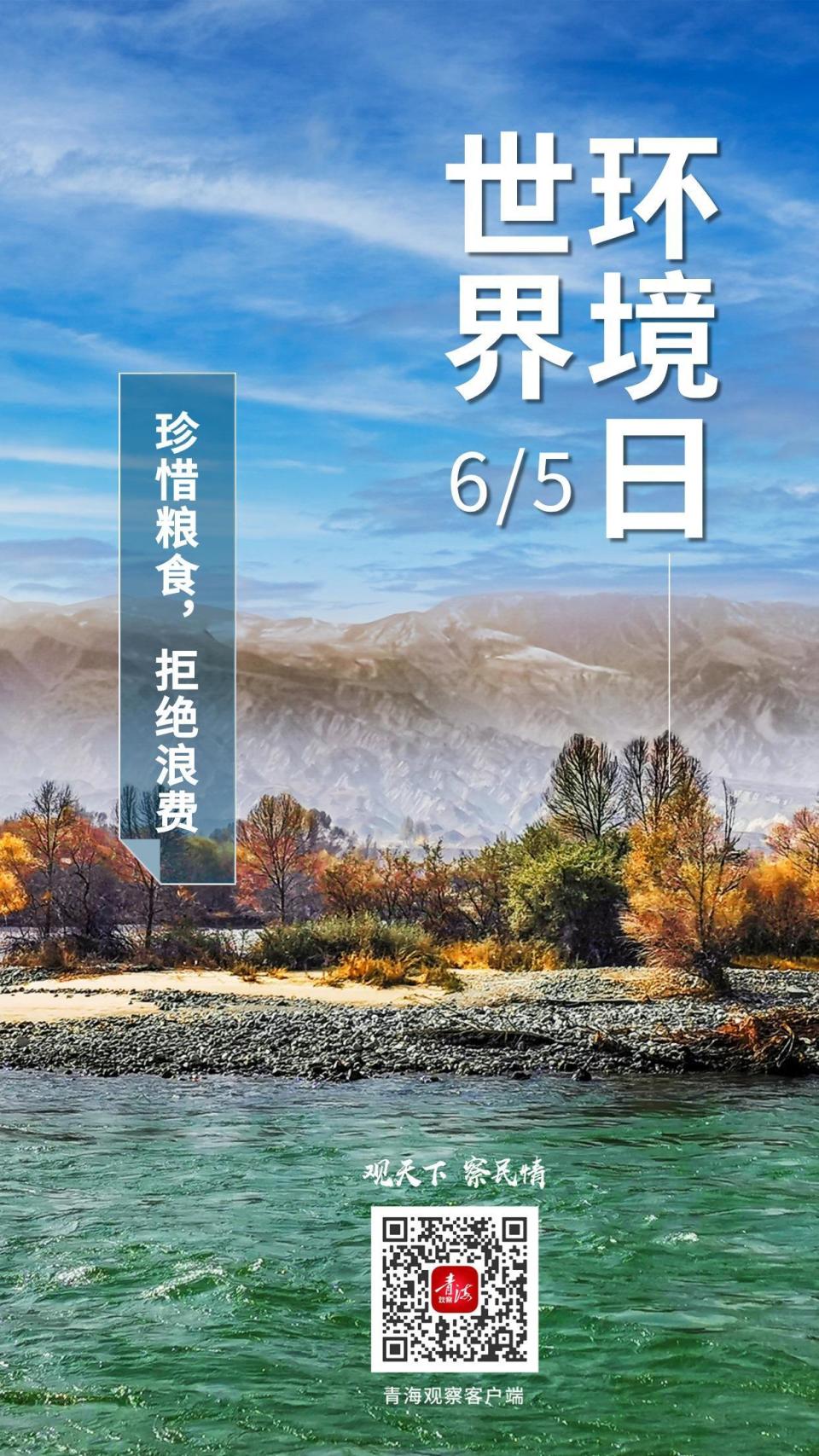 海报 | 【世界环境日】保护环境,我们可以这样做!