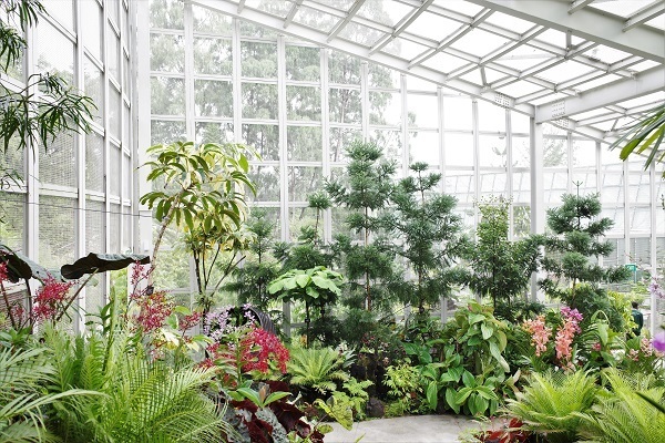 步入花园城市的植物园，开启一场绿色之旅_腾讯新闻