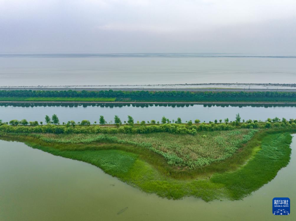 浙江杭州:钱塘江湿地风光美