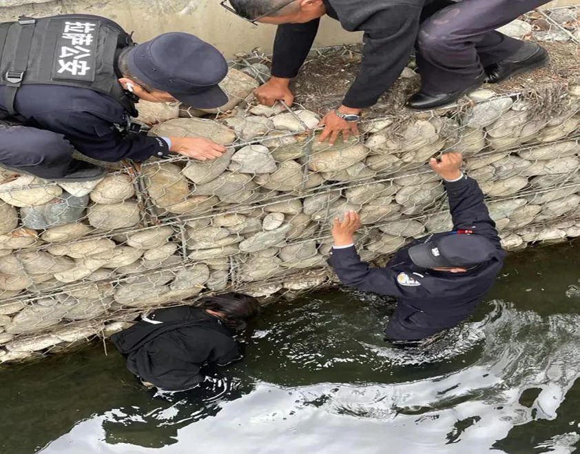 仅5分钟!民辅警奋不顾身跳河救人