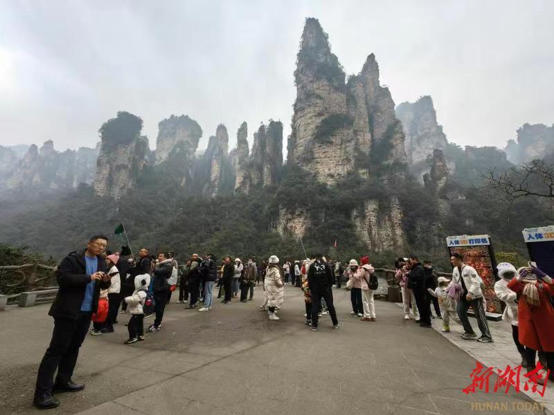 當前,張家界國家森林公園正推行