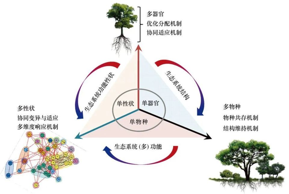 于贵瑞院士和何念鹏研究员团队的新理论框架：植物功能生态学——从