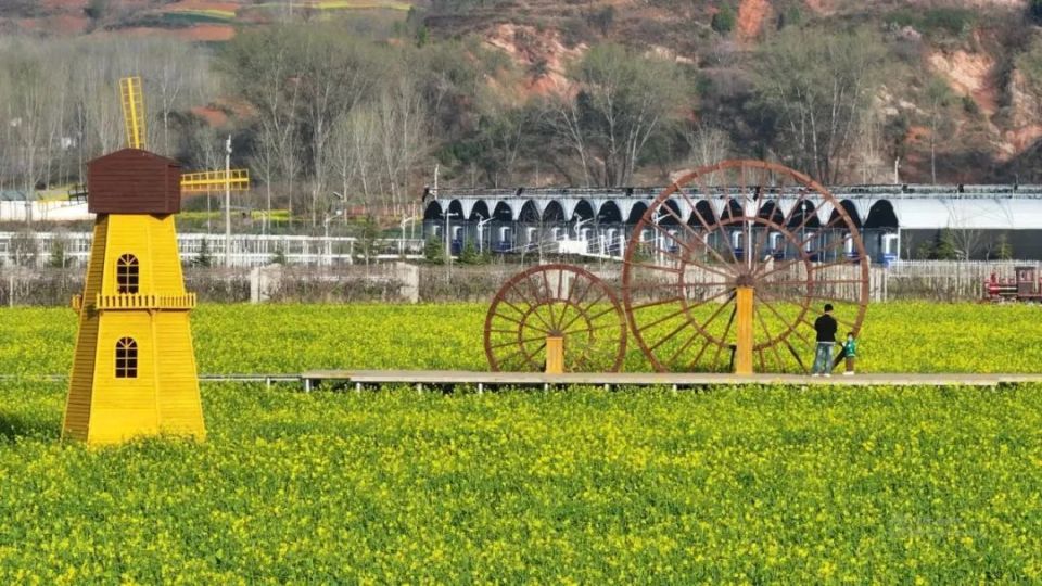 整县制乡村运营试水记