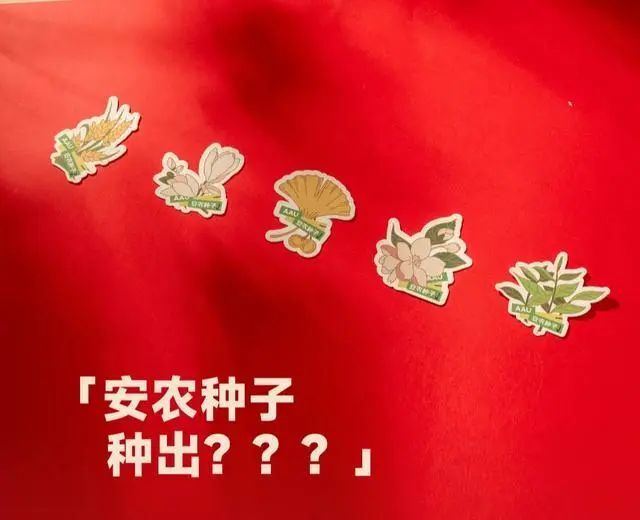 独属种子盲盒是农业的"芯片"种子图片来源:安徽农业大学亦如人生方圆