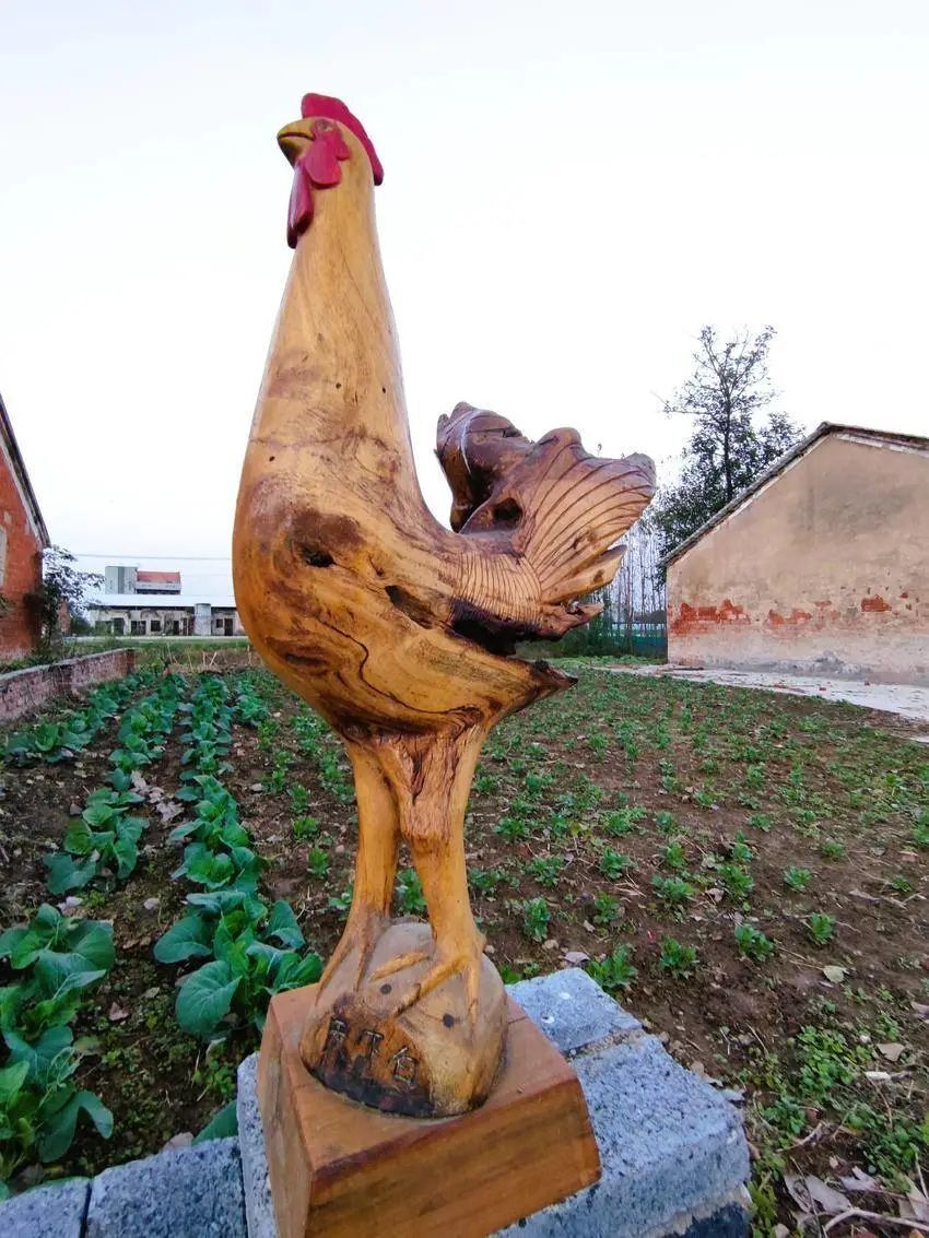 76岁农民醉心根雕艺术雕琢快乐生活