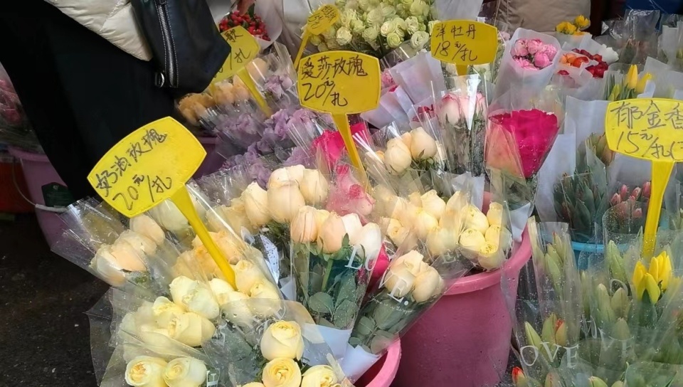 节前探访武汉循礼门花市:鲜花价格波动不大,郁金香每
