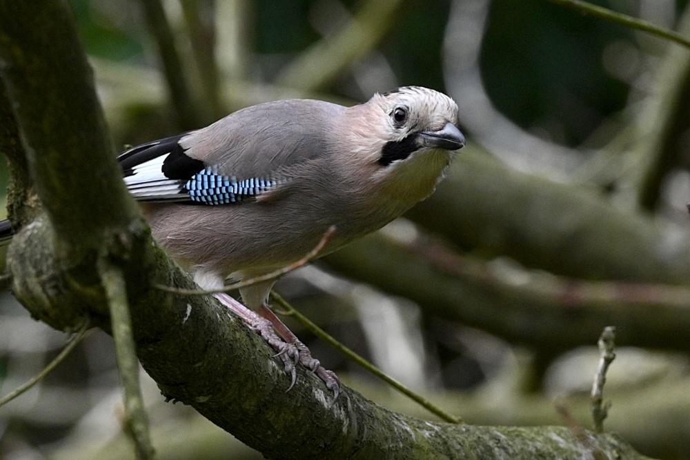 索契的春天_腾讯新闻