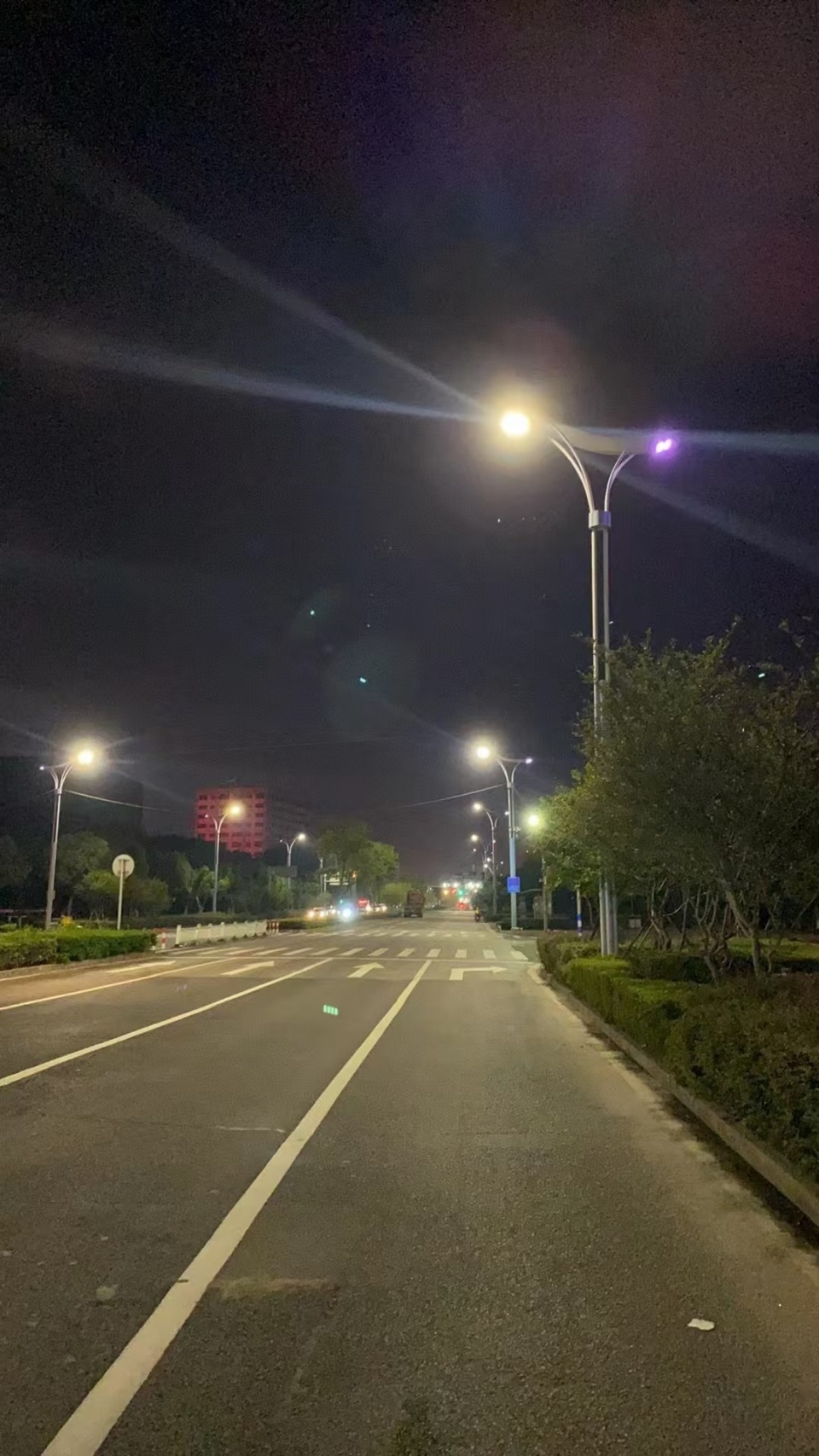 夜晚照片路灯图片