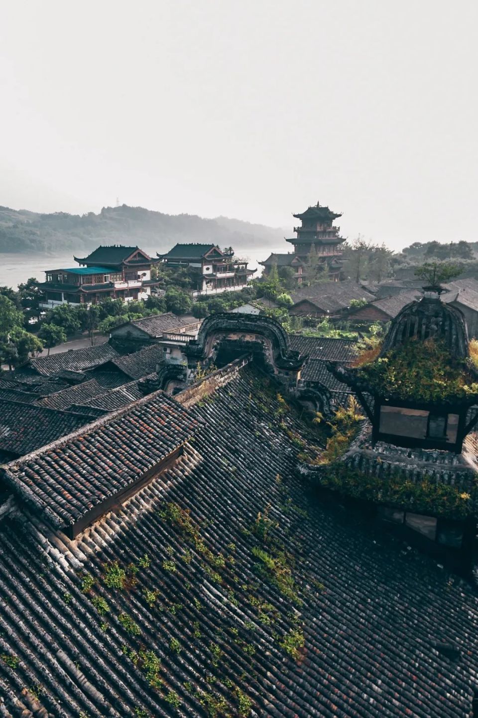 三星堆和李庄:许纪霖带你深度认知四川最网红景点