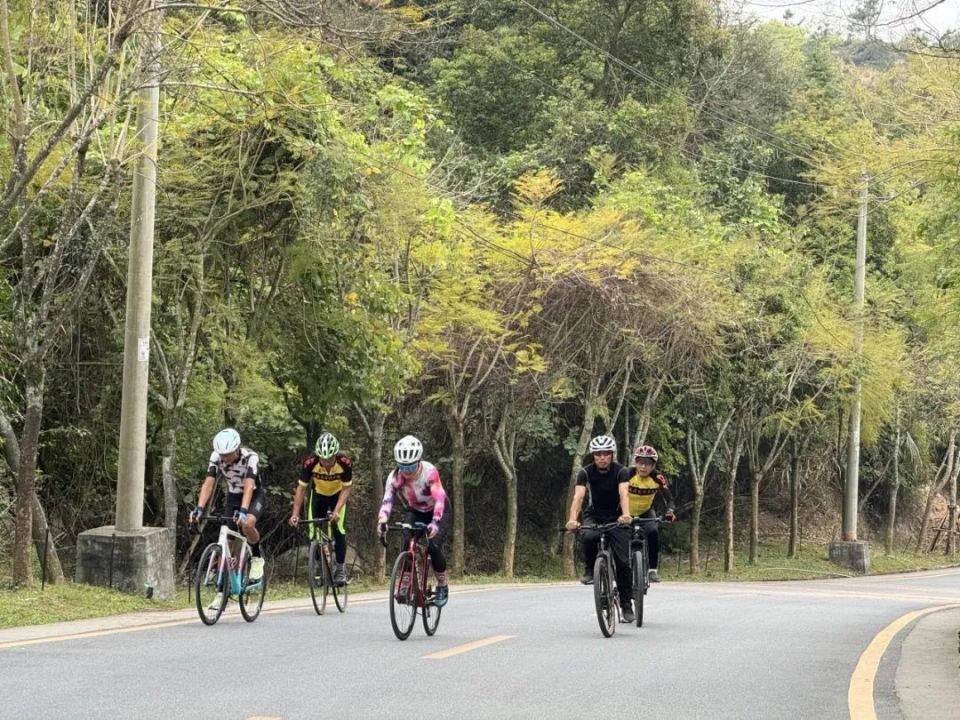 厦门这姑娘排全国第二!_腾讯新闻