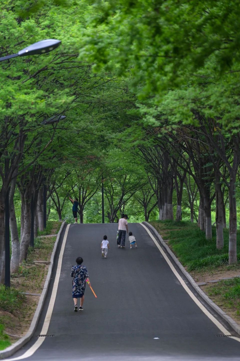 睢宁,"道"处是风景!