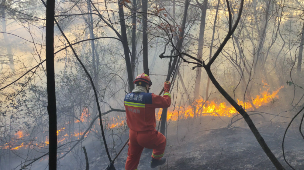 破防了!贵州山火消防员朋友圈家人不可见_腾讯新闻