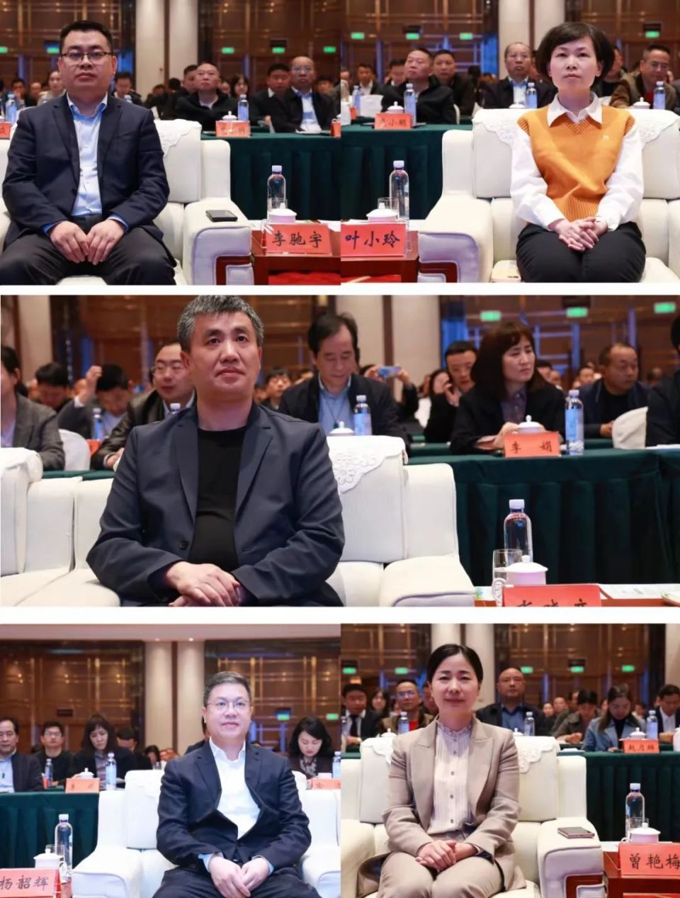 湖南省乡村文化旅游促进会会长付胜龙讲话邵阳市人民政府副市长易洪海