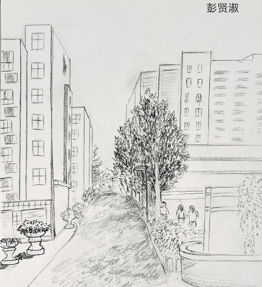 郑州市第八十一中学:我手绘校园 定格"你"的美