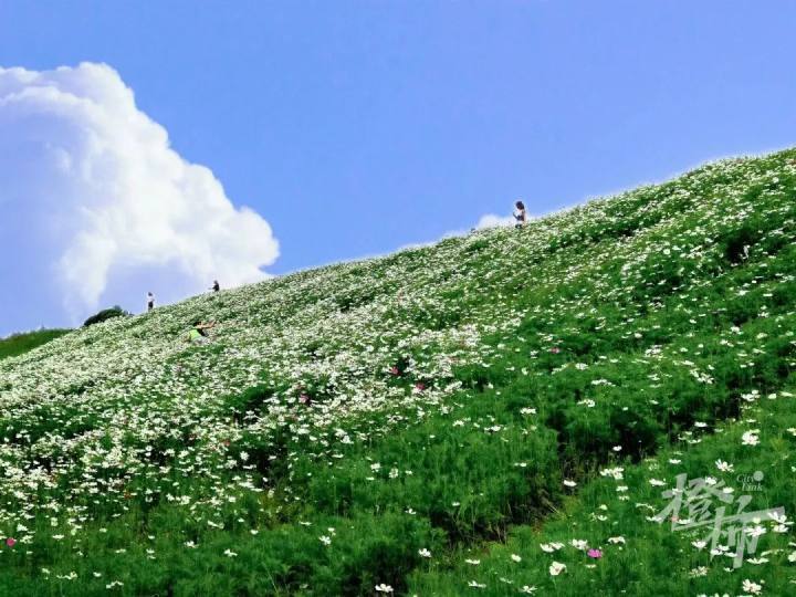 富阳银湖大草坪图片