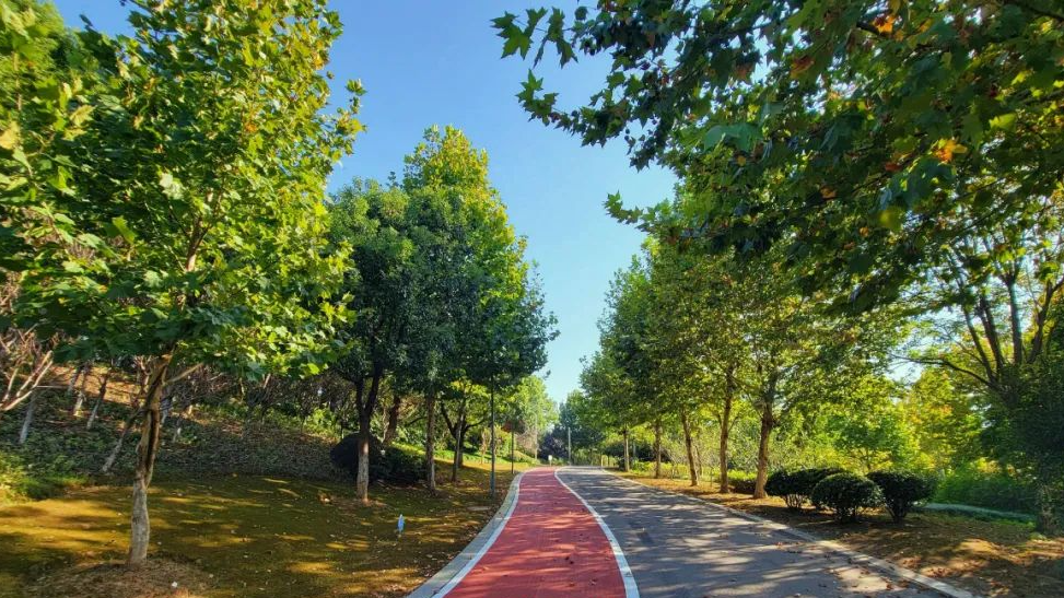 爱在鸠兹·燃情99 | 听说,这是芜湖最适合"躺坪"的公园!| 皖美夏日