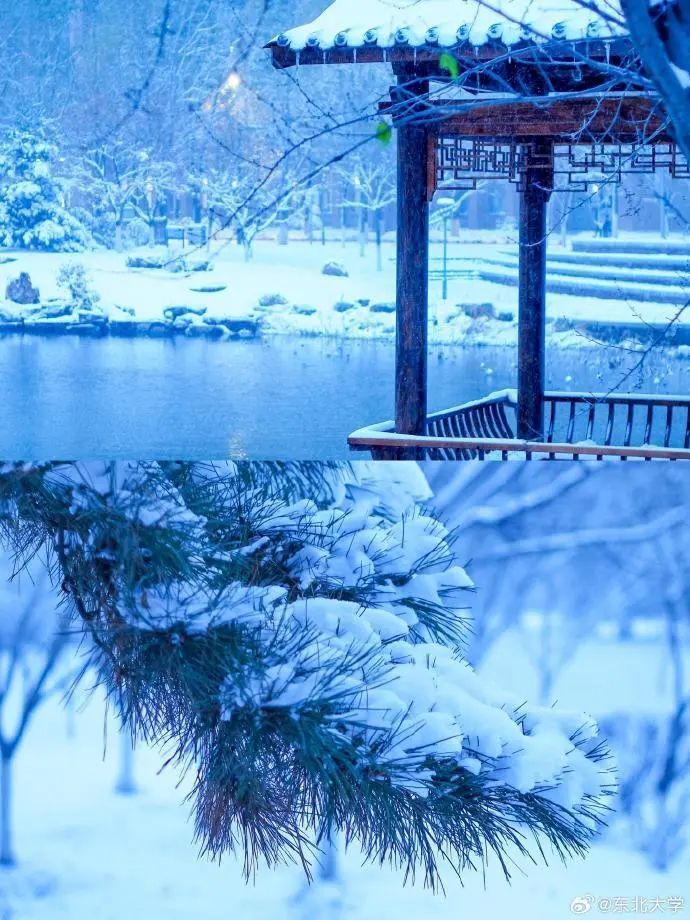 初雪已至所有人冬日校园雪景大片等你来定格征集