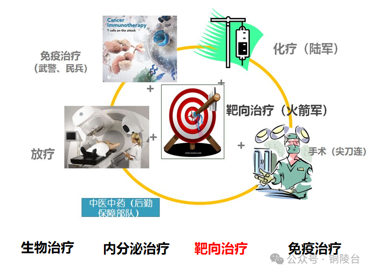 【健康有约】靶向治疗到底是怎么回事?_腾讯新闻