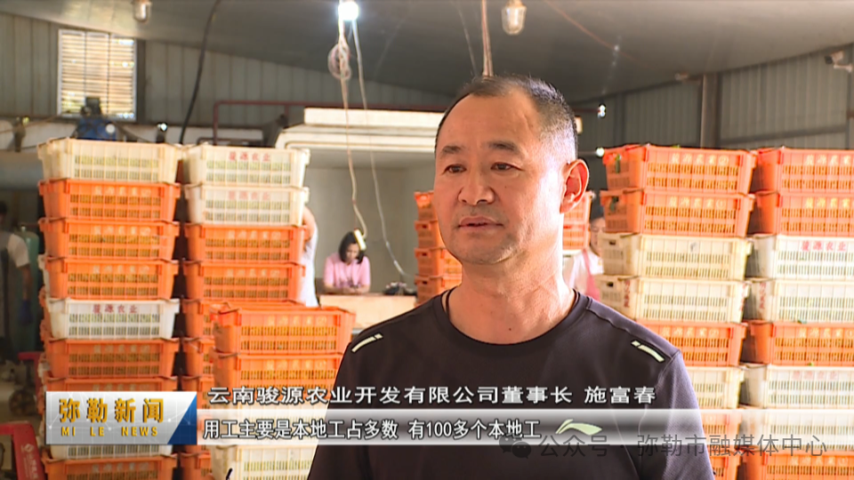 弥勒市竹园镇:抓好"菜篮子" 鼓起"钱袋子"