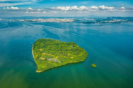 岳阳520偶遇节以爱为名共赴浪漫君山岛五一甜蜜升温