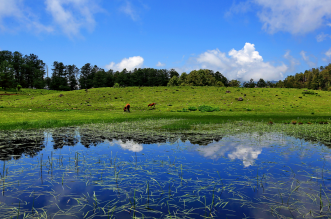 【美丽四川】走进大凉山——宁南
