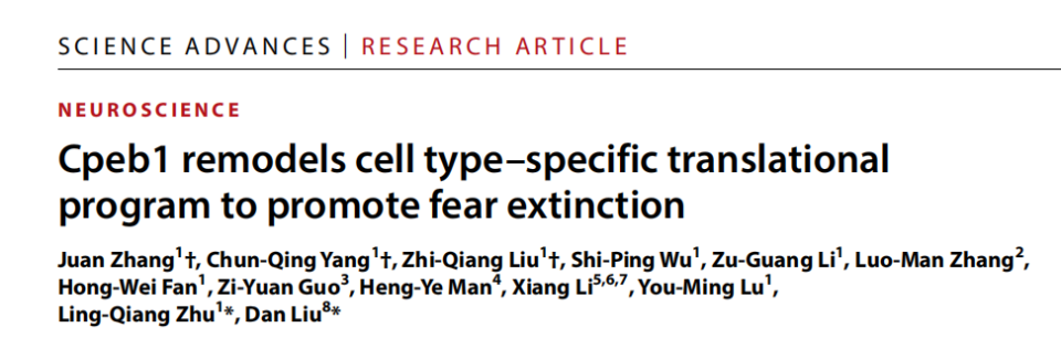 Sci Adv丨Cpeb1调整翻译程序，对症下药促消恐！华科刘丹／朱铃强团队揭示恐惧消退新机制