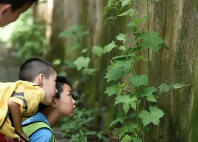 加拿大生娃娃_加拿大小孩_加拿大pr孩子国内出生
