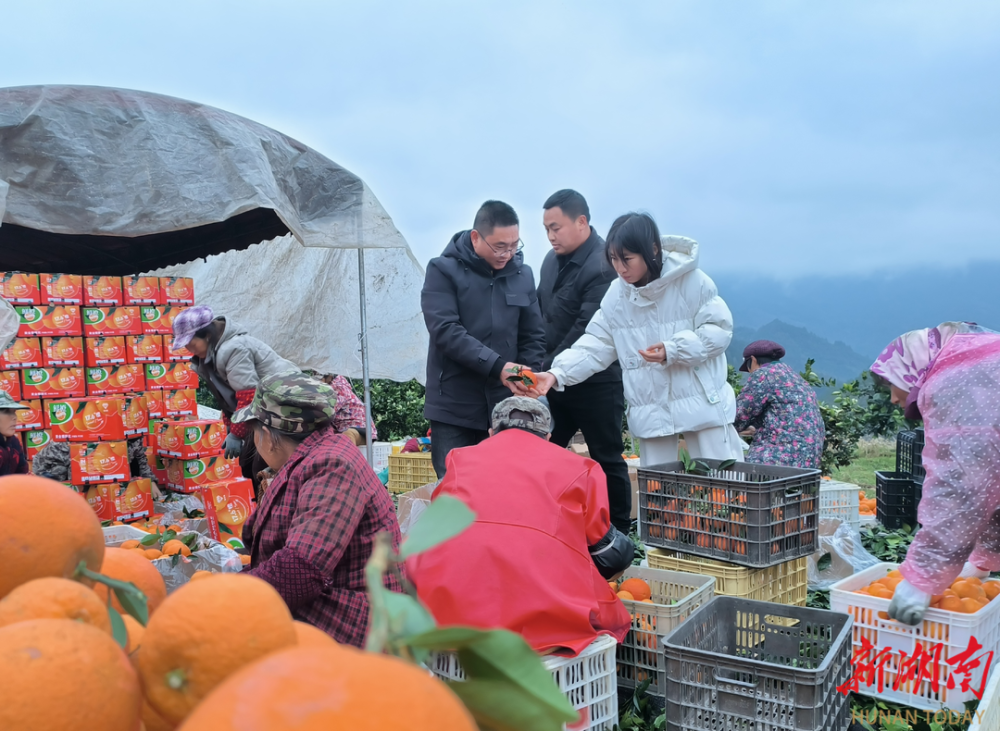 龙山县苗儿滩镇:化身"三员"解难题 消费帮扶促增收