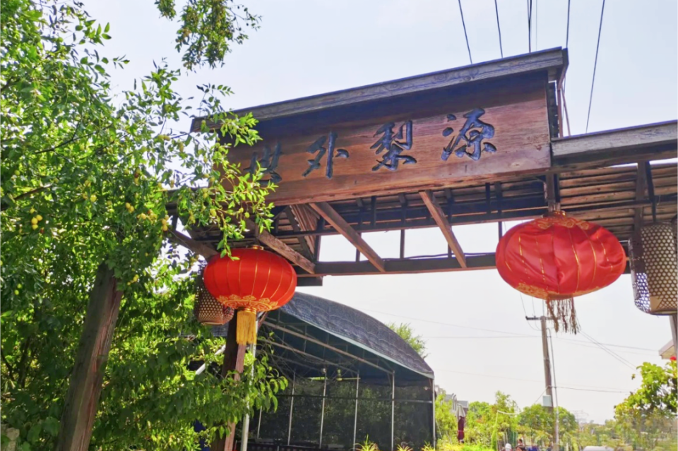 奉贤庄行古镇门票图片