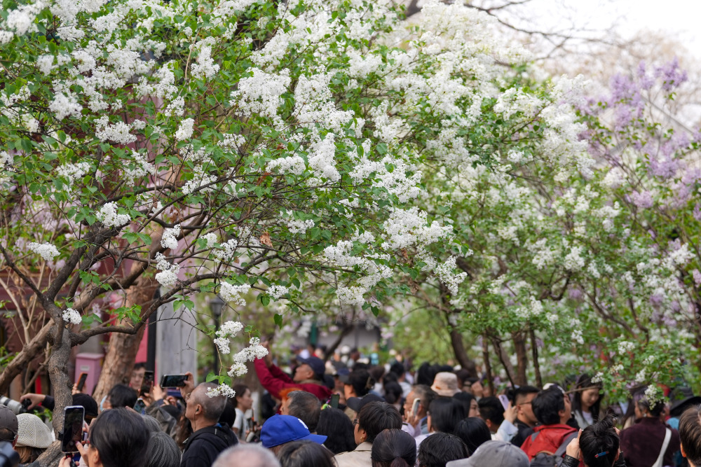 享受美好春光（1）_腾讯新闻