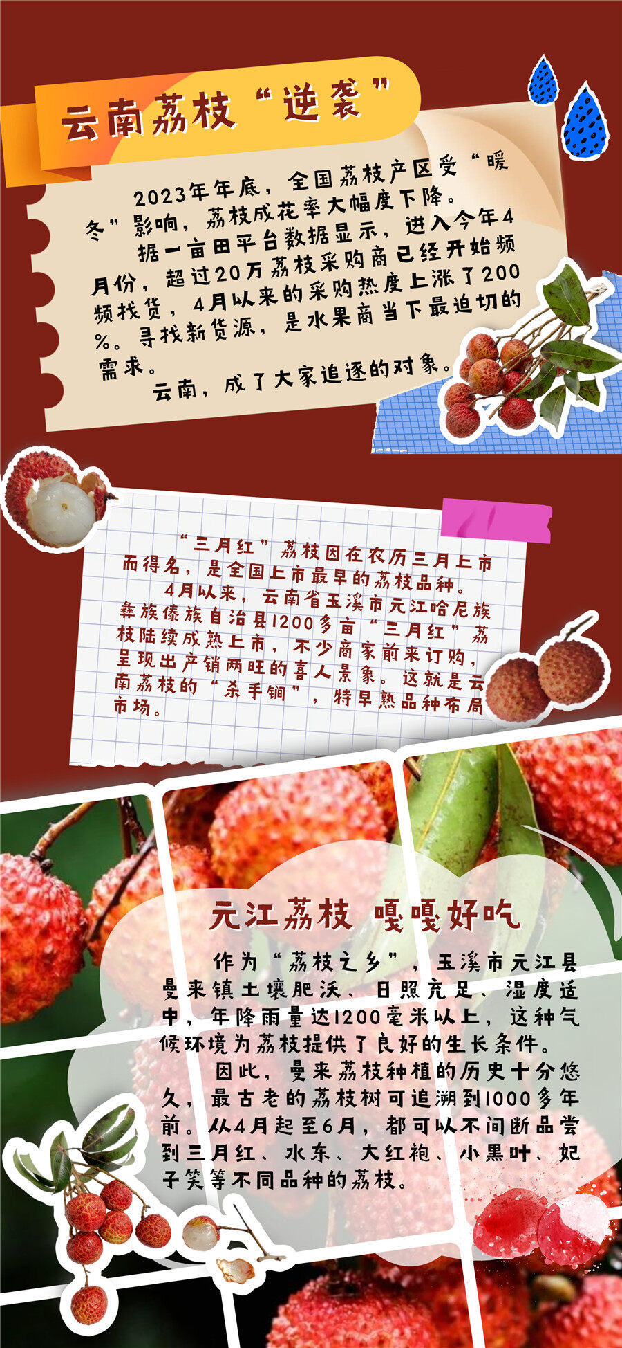 "果"然很云南丨荔枝!给你一个爱上夏天的理由