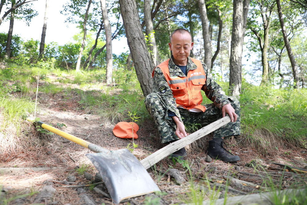 美丽中国行护林员赵建平一把铁锹三十二年守护千亩林海