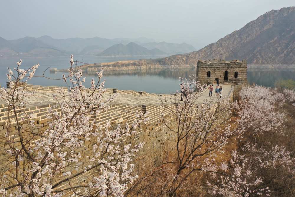 (环境)喜峰口长城山花开_腾讯新闻