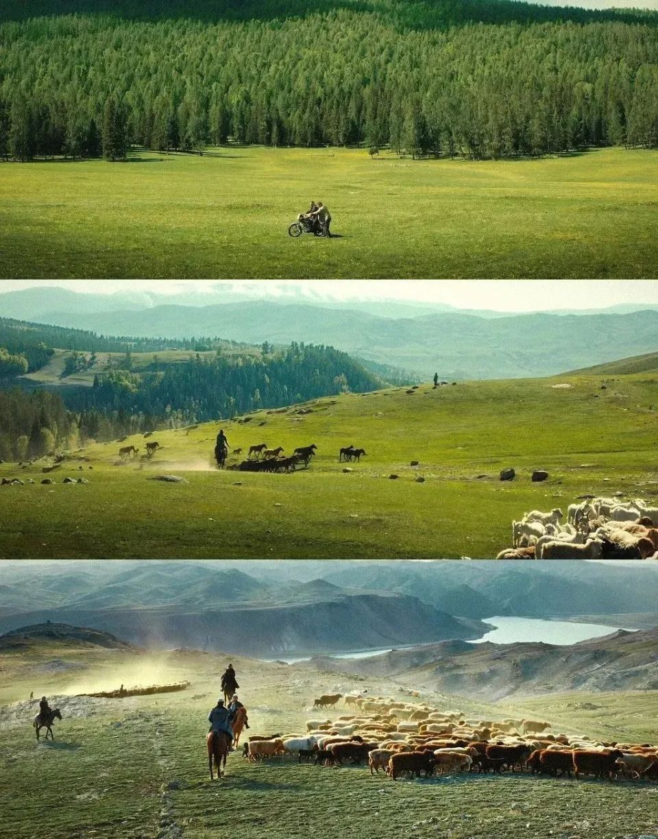 此刻,想去阿勒泰的心谁懂啊?