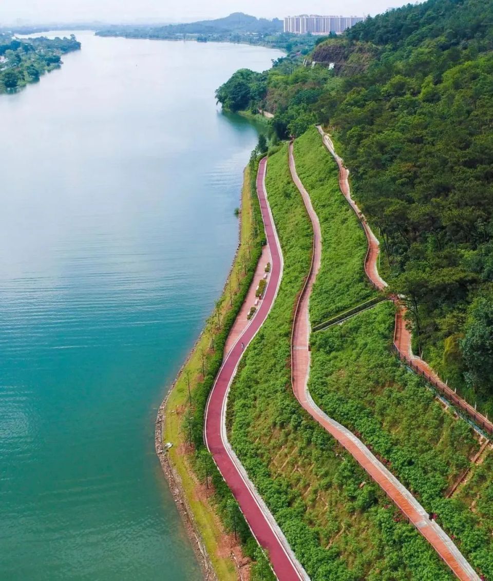 "荔韵·荔湖公园"为核心湖心岛湿地公园等景观串珠成链将沿线荔湖湿地