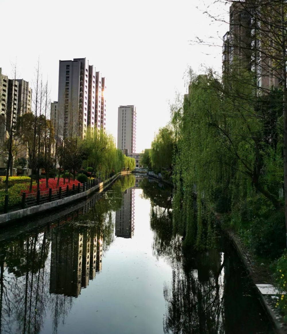 方松街道家门口的"一隅美景"藏不住啦_腾讯新闻